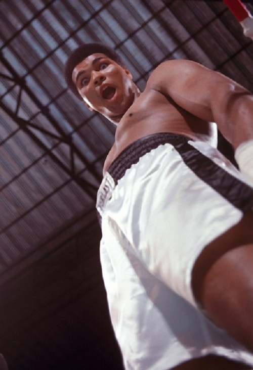 Photo:  Muhammad Ali 02